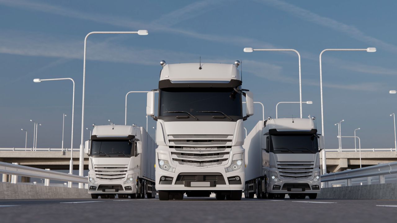 Cross Border Moving Service