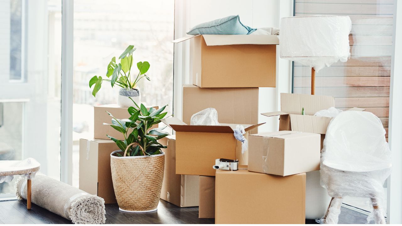 How choose local moving company near me